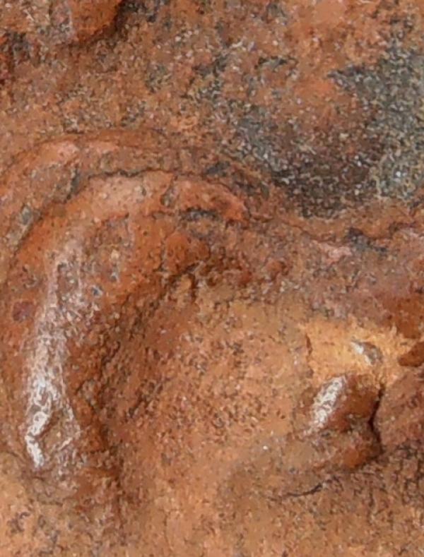 พระหลวงพ่อปาน วัดบางนมโค อยุธยา พิมพ์ขี่ไก่