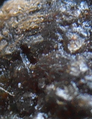 รูปหล่อโบราณหลวงปู่เทียน วัดโบสถ์ ปทุมธานี พิมพ์เล็ก