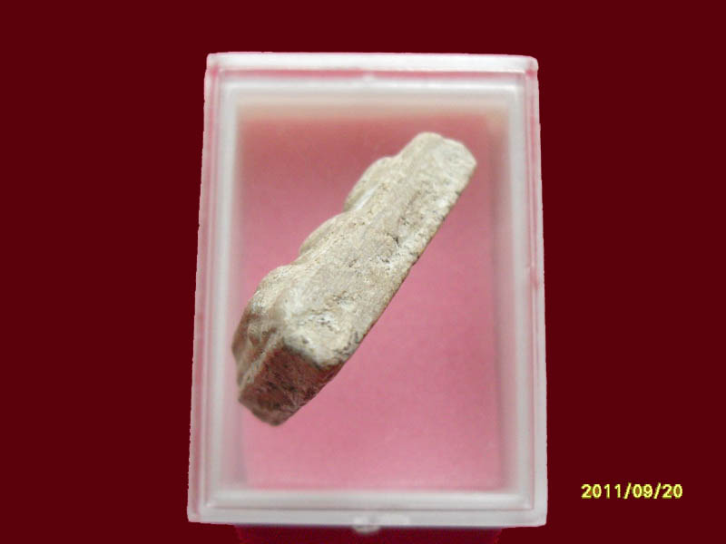 เริ่มค่าส่ง 20บาท มีให้เลือกกว่า250รายการ..P./29