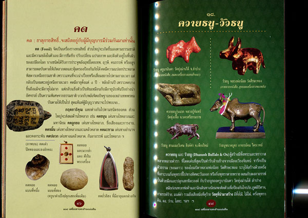 หนังสือ 108 เครื่องรางสะท้านแผ่นดิน โดย คงคา หิมาลัย