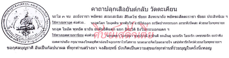 เสือกรรมการกฐิน รุ่นเสือปืนแตกยันต์กลับ / รุ่น 7 เนื้อทองเหลือง หลวงปู่แย้ม วัดตะเคียน จ.นนทบุรี