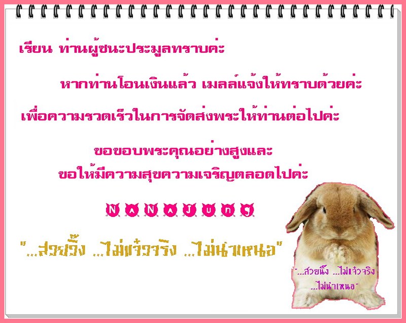 พระปิดตาน้ำเต้า ปี 2537 " ส ว ย วิ๊ง ...ไม่แจ๋วจริง ...ไม่นำเหนอ"