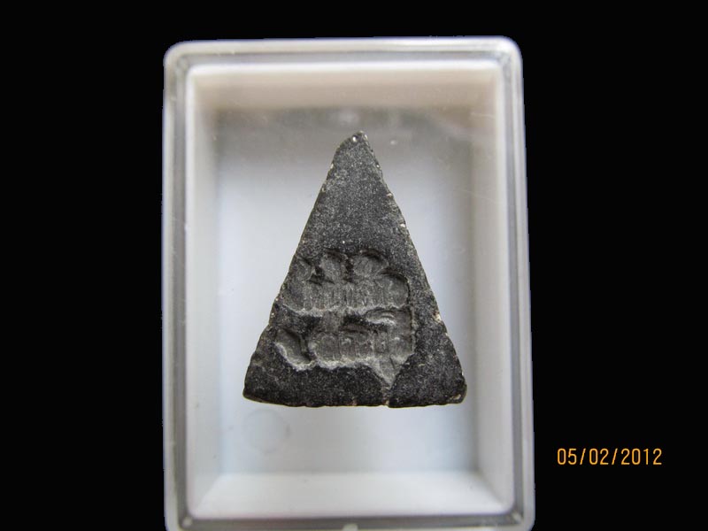 พระนางพญา ผงดำไม่ทราบที่ รอบนี้เริ่ม20บาท EI.84