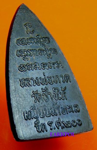 รศ.๒๐๐  ผิวปีกแมงทับ