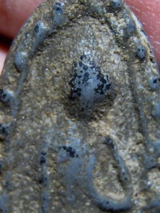 พระลีลา เนื้อชินเขียว จ.สุพรรณบุรี พระดูง่าย ราคาเบา