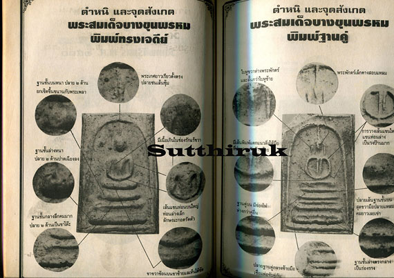 หนังสือ มหาโพธิ์ ชี้เอกลักษณ์ ตำหนิ พระเครื่อง ชุดที่ 2