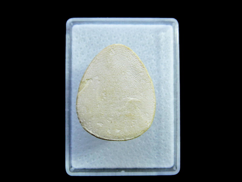 พระสังกัจจายน์ไม่ทราบวัด.เริ่ม20บาท/ U.180