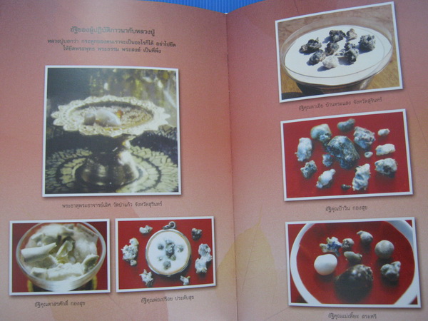 หนังสือ อตุโล ไม่มีใดเทียม ประวัติ ปฏิปทา และคำสอน ของพระราชวุฒาจารย์ (หลวงปู่ดูลย์ อตุโล)