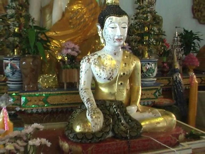 เหรียญหลวงพ่อทันใจ วัดไทยสามัคคี จ.ตาก. เริ่ม20บาท/ C.066