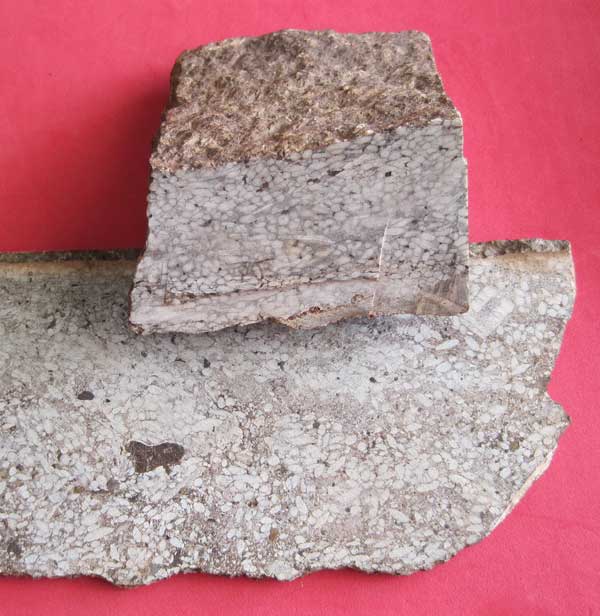พระสมเด็จ 1 ในเบ็ญจภาคี แกะจากพระธาตุข้าวสารหิน 60-200 ล้าน ปี