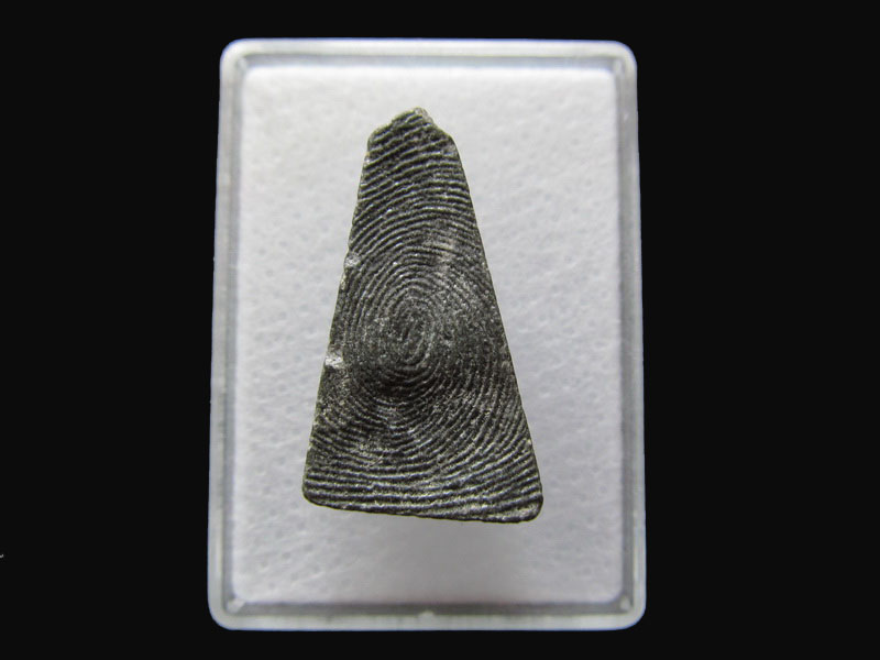 พระผงสุพรรณ (เกจิ) ไม่ทราบวัดครับ.เริ่ม20บาท/P.156