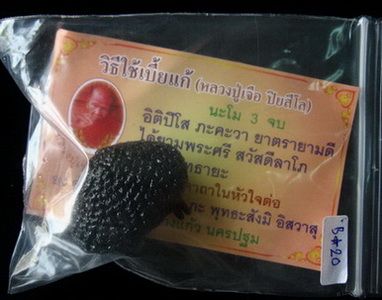 เบี้ยแก้ถักเชือก ลูกใหญ่ จุ่มลักหนา หลวงปู่เจือ วัดกลางบางแก้ว จ.นครปฐม สภาพสวย#B20