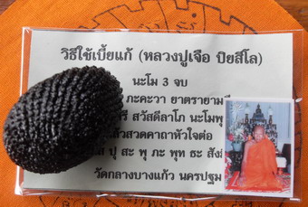 เบี้ยแก้หลวงปู่เจือ วัดกลางบางแก้ว