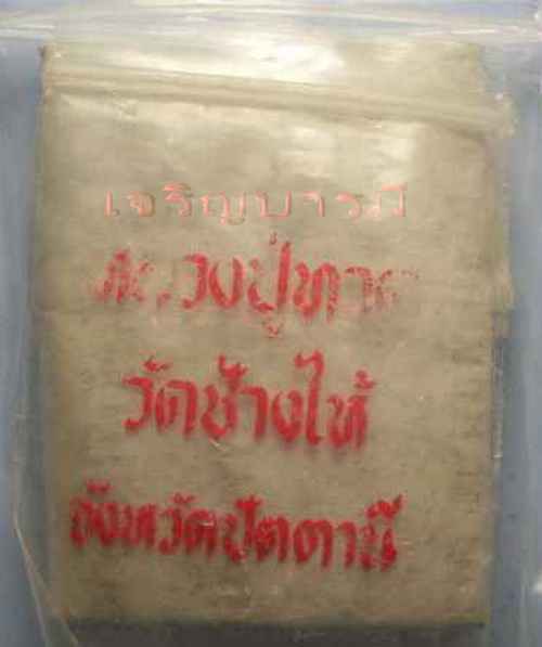 หลวงปู่ทวด ปี24