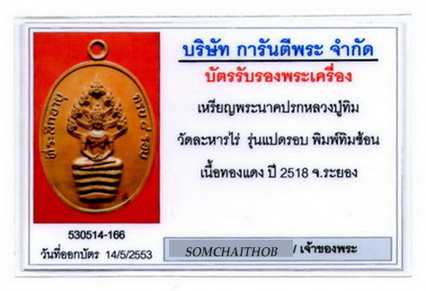 เหรียญปรก 8 รอบ [บล็อคทองคำหลังทิมซ้อน] หลวงปู่ทิม วัดระหารไร่  ผิวสวยแบบเดิมๆ