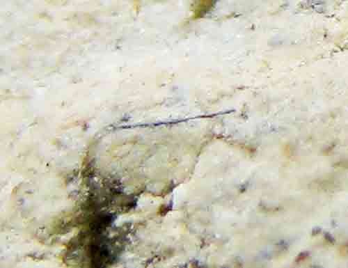 ขุนแผนชัยมงคล ครูบาจันต๊ะ รุ่น 2 วัดหนองช้างคืน ลำพูน ปี 2544