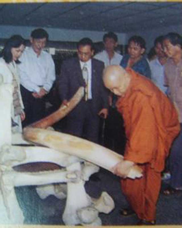 คชสารหมื่นปีงาช้างแมมมอธ หลวงพ่ออุตตะมะ กล่องเดิม+ใบรับรอง+โบชัว ครบเซ็ต!