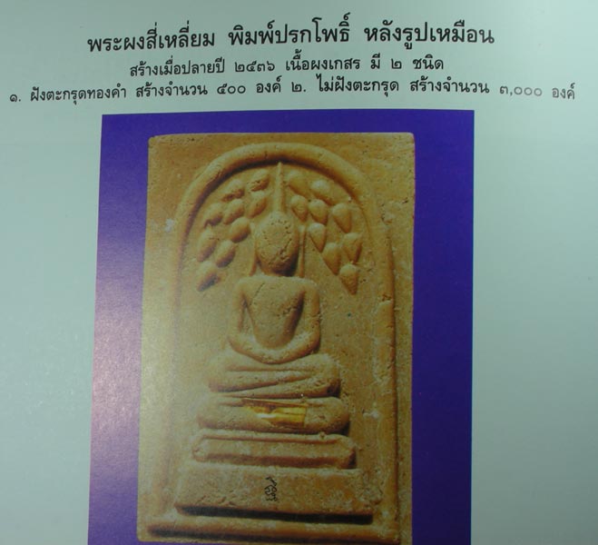 พระสมเด็จปรกโพธิ์ หลังรูปเหมือน หลวงปู่ทิม วัดพระขาว ปี 2536