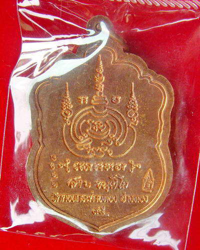 เหรียญเสมารุ่นบารมี ๙๕ เนื้อทองแดง No.๒๒๙๘ ลป.สาย วัดดอนกระต่ายทอง จ.อ่างทอง