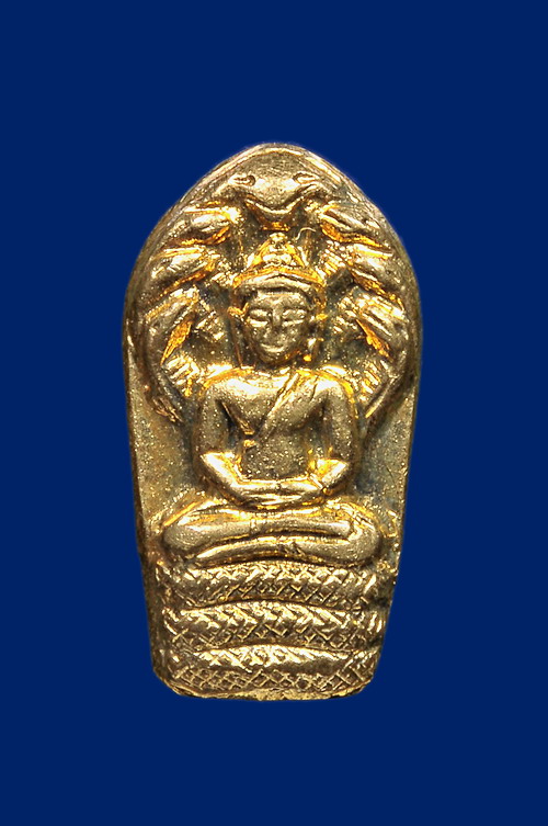 พระนาคปรกใบมะขามหลวงปู่ศรี มหาวีโร รุ่นแรก