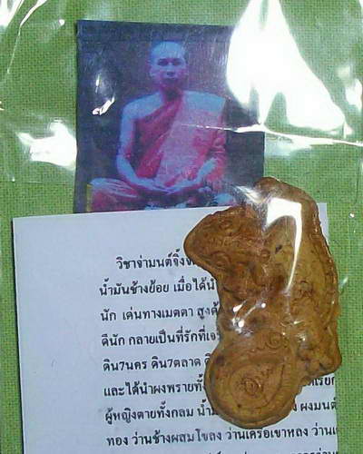 จิ้งจกมหาละลวย พระครูอินแปลง ตปสีโล ฝังตะกรุดจิ้งจกเทวดา