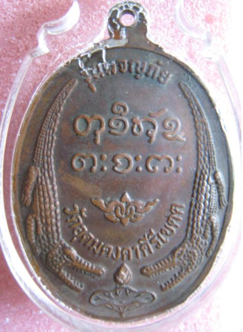 เหรียญหลวงพ่อผาง จิตตคุตโต  รุ่นผจญภัย