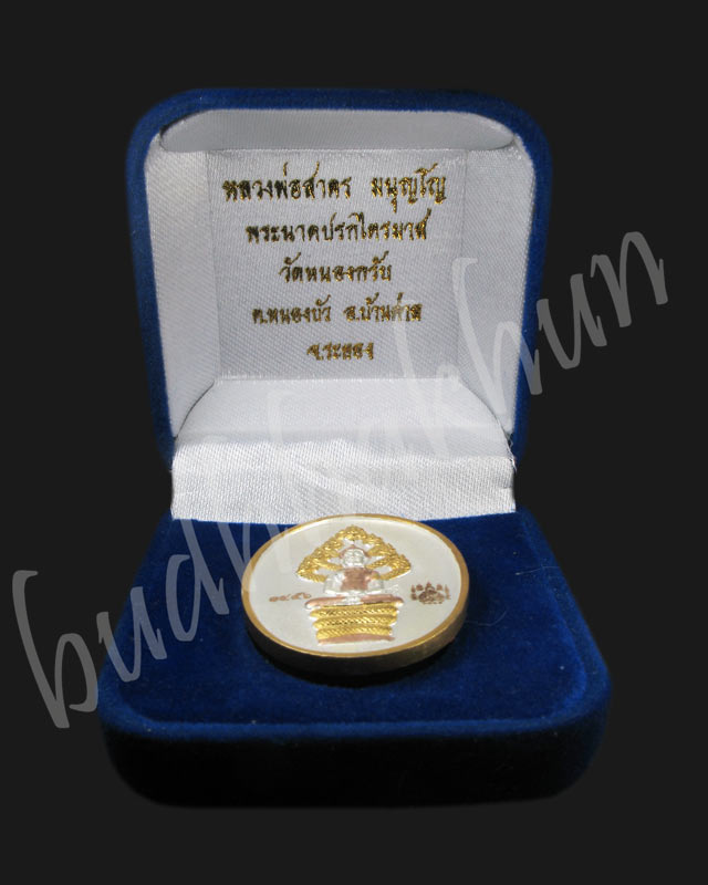เหรียญปรกไตรมาส ๕๑ หลวงพ่อสาคร เนื้อสามกษัตริย์