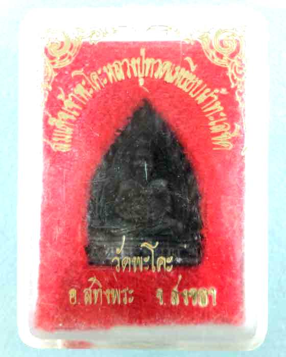 เหรียญฉีดเจ้าสัว หลวงปู่ทวด