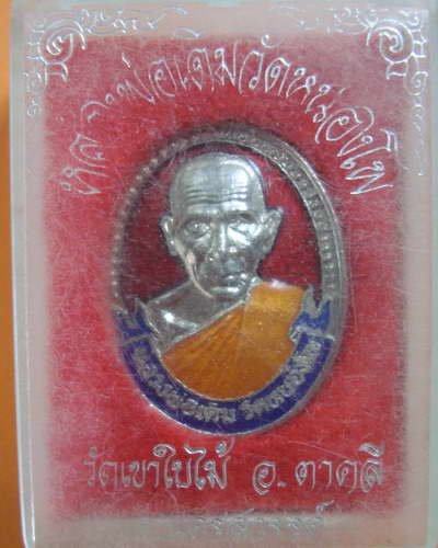เหรียญลงยา หลวงพ่อเดิม  ออกวัดเขาใบไม้ จ.นครสวรรค์