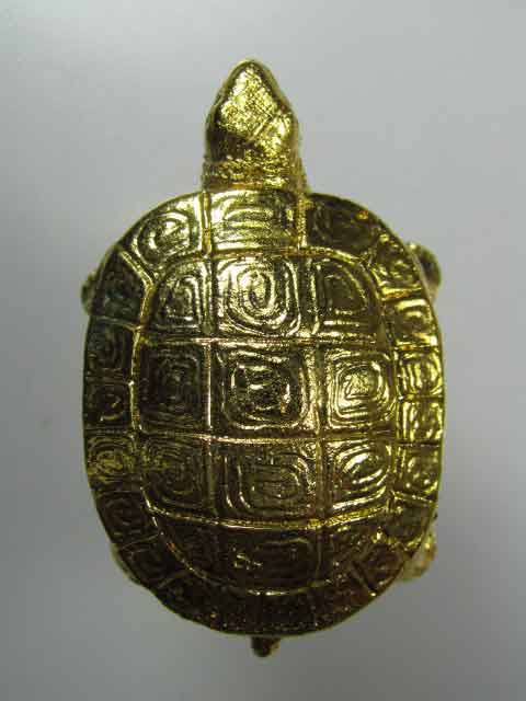 เต่า หลวงปู่คำสิงห์ วัดสิงหารินทาราม จ.หนองคาย