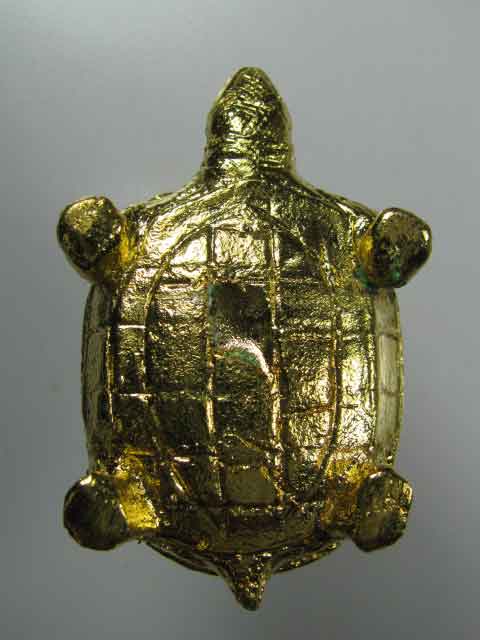 เต่า หลวงปู่คำสิงห์ วัดสิงหารินทาราม จ.หนองคาย