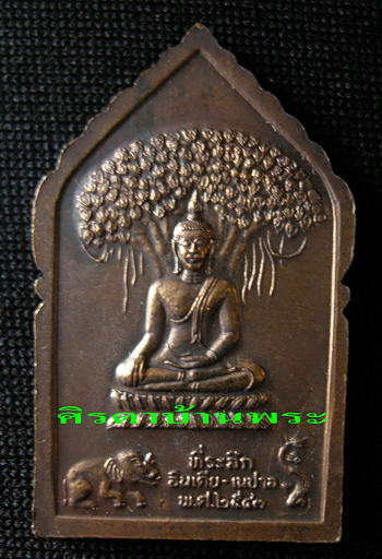 เหรียญอินเดีย-เนปาล หลวงปู่ทิม วัดพระขาว