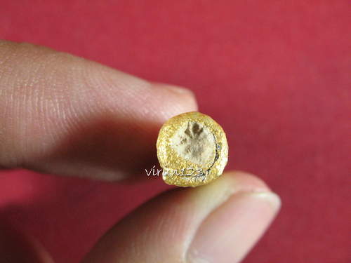 ตะกรุดเต็กกอ(ภรรยาเยอะ) เลข715 หลวงปู่ชุมสาย วัดระเริง จ.นครราชสีมา.....
