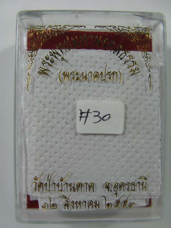 หลวงตามหาบัว พิมพ์นาคปรก # 30