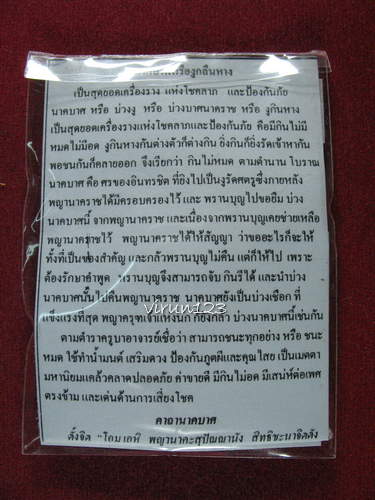 บ่วงนาคบาศ หรือ งูกลืนหาง หรือ บ่วงงู หรือ บ่วงบาศนาคราช พระอาจารย์ เรืองยศ วัดโพธิธรรมศิลา จ.ชัยภูม