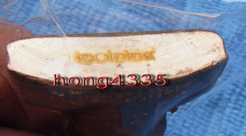 (((รูปเหมือนปั๊มเข่ากว้างหลังเต็ม (ไตรมาส 53) เนื้อทองแดง หลวงพ่อเพี้ยน วัดเกริ่นกฐิน จ. ลพบุรี โค๊ด