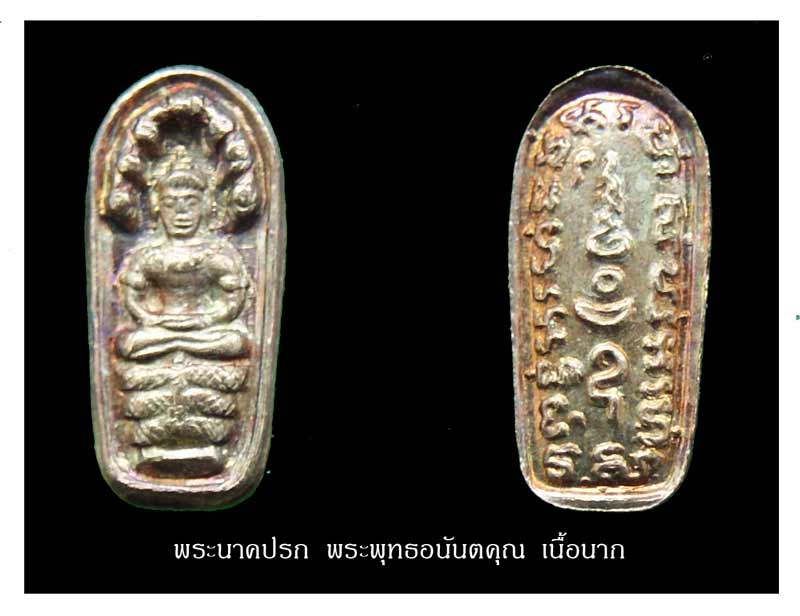 พระนาคปรก พระพุทธอนันตคุณ ปี ๒๕๒๑