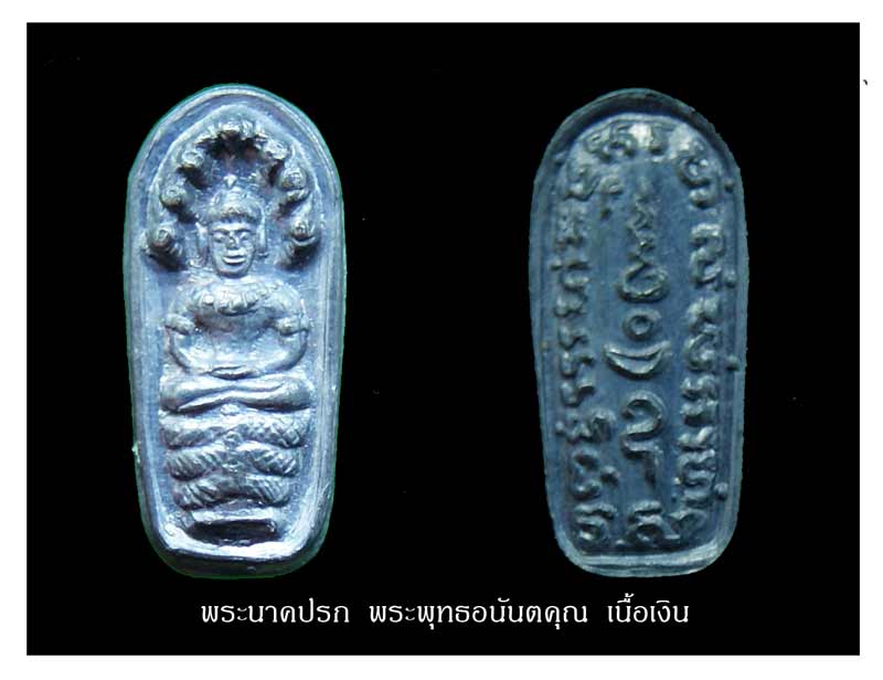 พระนาคปรก พระพุทธอนันตคุณ ปี ๒๕๒๑