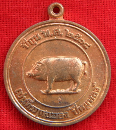 เหรียญหมูมหาลาภ ปี 2538 หลวงพ่อสาคร วัดหนองกรับ ระยอง