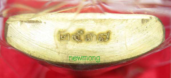 ปั๊มเข่ากว้างหลังเต็ม เนื้อทองทิพย์ ไตรมาส 53 หลวงพ่อเพี้ยน วัดเกริ่นกฐิน โค้ตเลข 2537