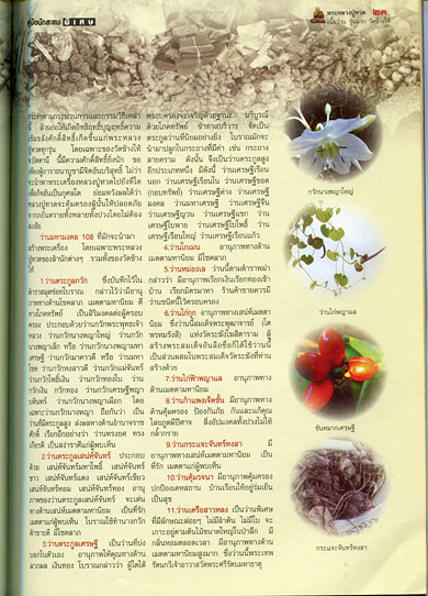 หนังสือ พระหลวงปู่ทวด เนื้อว่าน รุ่นแรก วัดช้างไห้ ดูอย่างไรว่าแท้