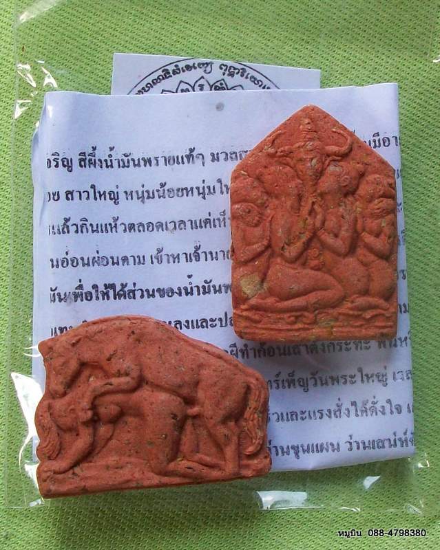 หมูบิน_บ้านนา/ขอเสนอพระดีราคาประหยัด/พญาเขาคำ+ม้าเสพนาง ฝังตะกรุดมหาชนึก+ลำอ๊อฟ