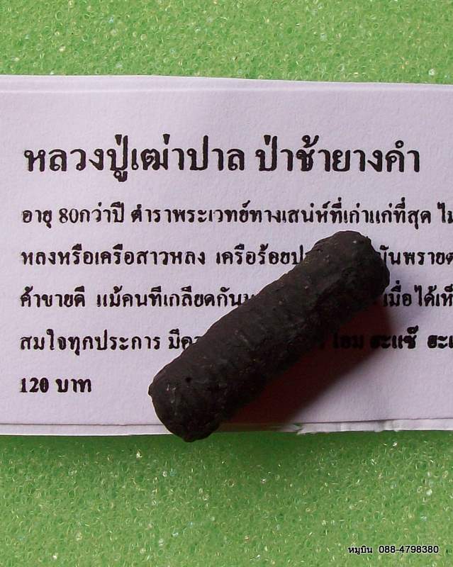 "หมูบิน_บ้านนา" เช่าเท่าไรก็ใส่ราคาเอา/*ตะกรุดมหาล่ำสาย มหาเสน่ห์ชายรัก สาวหลง