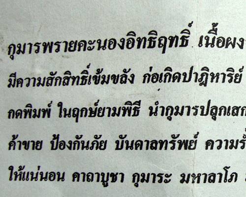 กุมารพรายคะนองอิทธิฤทธิ์ เนื้อผงว่านกุมาร ลป.บุญ พนฺธมุตฺโต วัดโพธิ์ศรี  ศรีสะเกษ