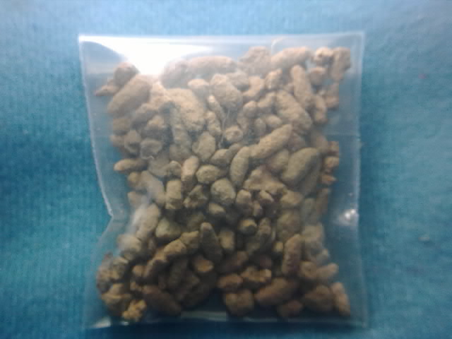 หนุกๆ 50บาท ข้าวสารหิน