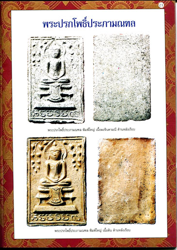 หนังสือ พระเครื่องและวัตถุมงคล วัดไผ่ล้อม หลวงปู่ทิม ประธานพิธี
