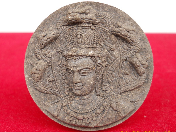 ราชันดำ 5.5ซ.ม. ว่าน108ผสมผงอิทธิเจ