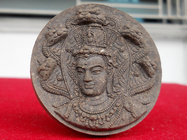 ราชันดำ 5.5ซ.ม. ว่าน108ผสมผงอิทธิเจ