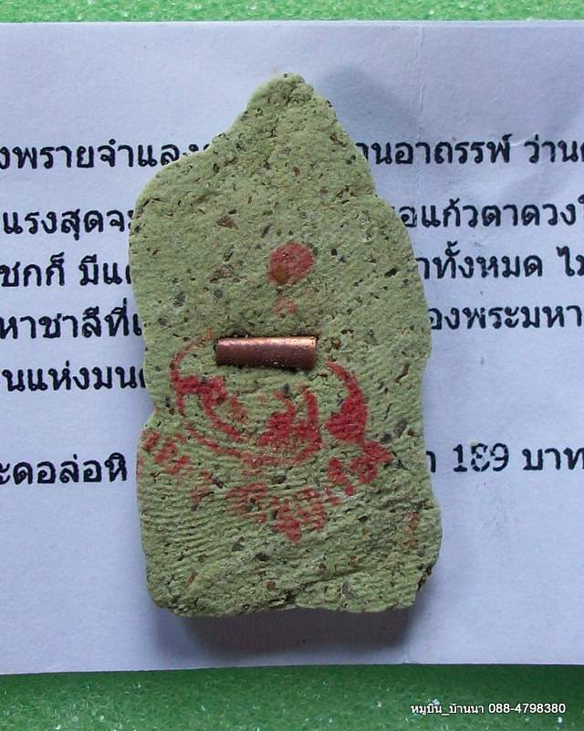 "หมูบิน_บ้านนา" คุณอยากเช่าเท่าไรก็ใส่ราคาเอา/ชูขกดอดันดะ นะดอล่อนาง ลพ.เขียว ขอนแก่น