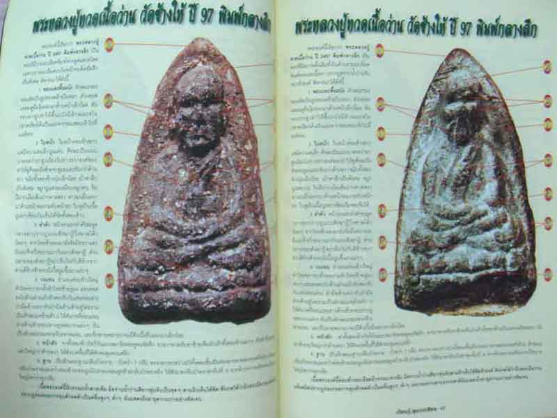 หนังสือเรียนรู้ดูแบบเซียนพระหลวงปู่ทวด เนื่อว่าน 2497